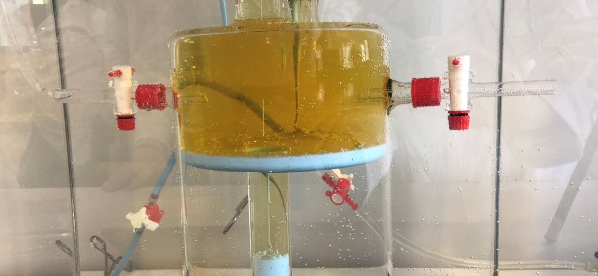 Decommissioning Glassware